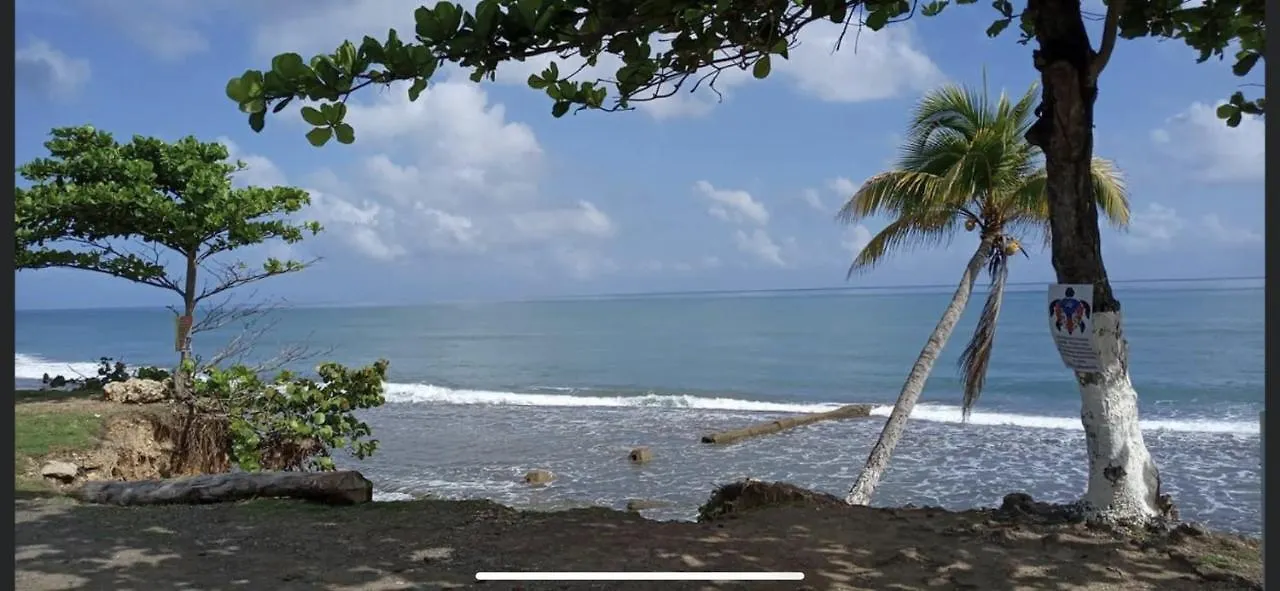 Casa Del Mar !!! Ocean Front Villa 阿瓜达 0*,  波多黎各