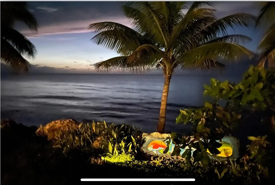 Casa Del Mar !!! Ocean Front Villa 阿瓜达 波多黎各